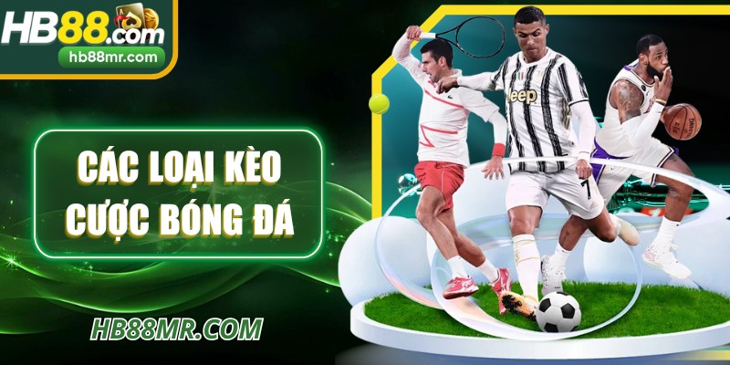 Các Loại Kèo Cược Bóng Đá HB88 Phổ Biến Nhất Hiện Nay