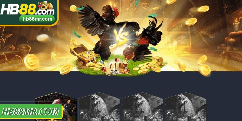 Ưu điểm đá gà HB88