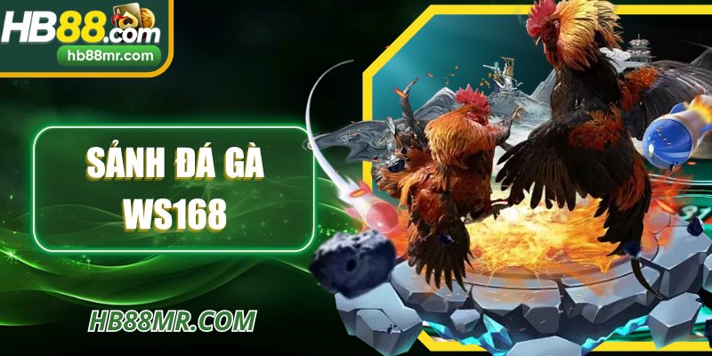 Sảnh Đá Gà WS168 – Trải Nghiệm Giải Trí Đỉnh Cao Tại HB88